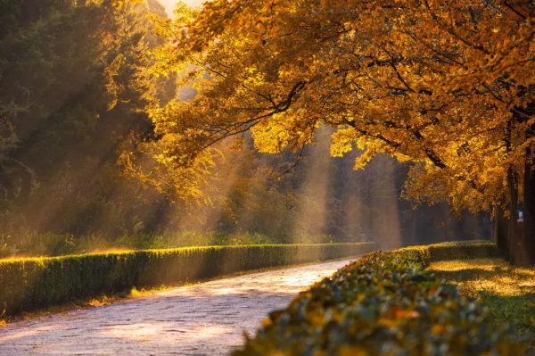 2022年，國內旅行時間表出爐，一鍵解鎖12個月的最佳旅行地