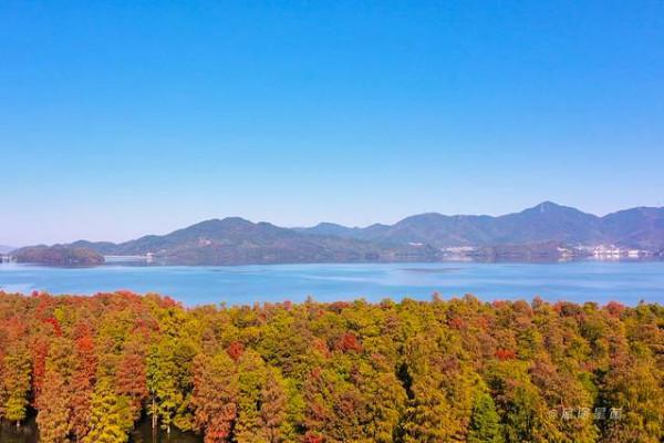 踏著深秋的落葉,去四明山來場自駕遊 踏著深秋的落葉,去四明山來場自駕遊