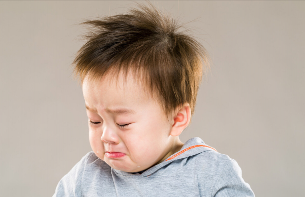 恆河猴實驗:以愛之名義,做殘忍虐心的實驗?使眾多幼兒重獲母愛 恆河猴實驗:以愛之名義,做殘忍虐心的實驗?使眾多幼兒重獲母愛