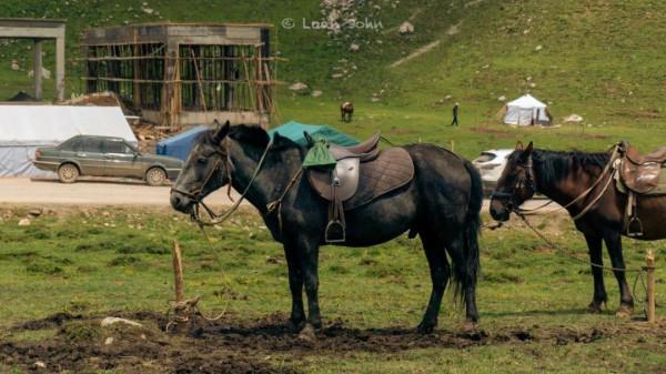 甘南｜人間仙境