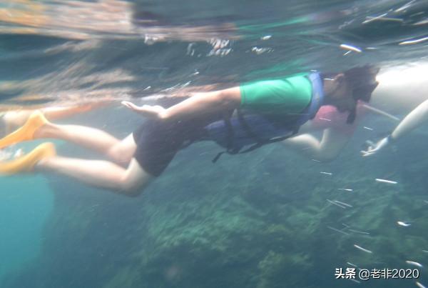 我拍的10種動物,你能認出一半就很厲害了 我拍的10種動物,你能認出一半就很厲害了