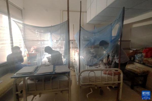 伊斯蘭堡登革熱病例數持續上升