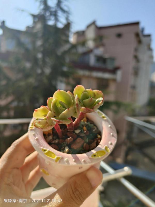 最近降溫，大家注意保暖哦