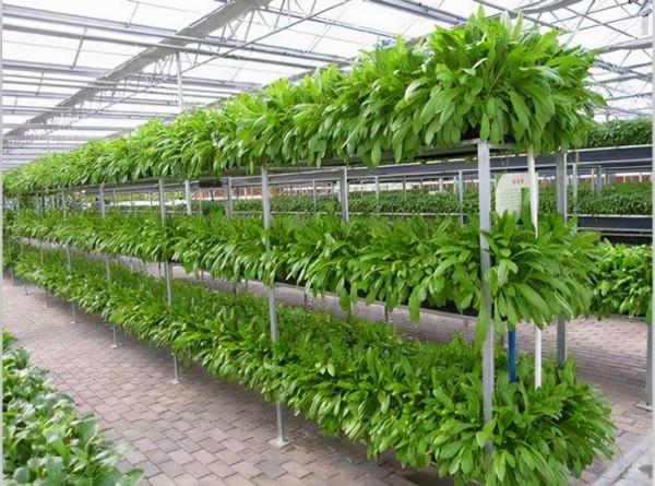 科技創造了巨大的生產力 科技創造了巨大的生產力