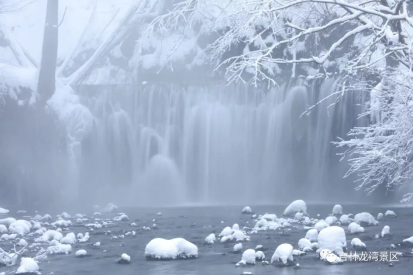 這樣的吊水壺，你愛了吧