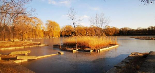 冬季夕陽西下之前的圓明園湖畔