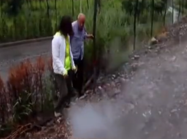 故事：山西農村遭蛇群攻擊，村民苦不堪言，專家來後蛇群消失不見