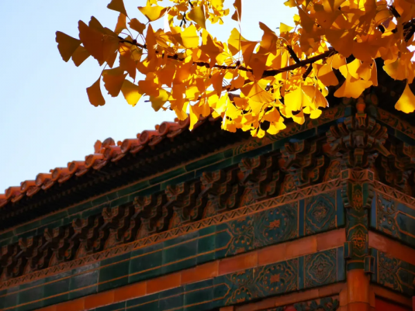 名家經典丨老舍:想北平 名家經典丨老舍:想北平