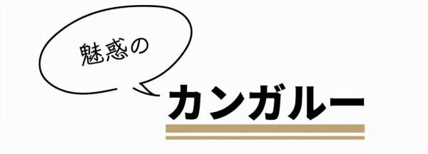 天氣漸冷，看看醍醐味的桃太郎衛衣、連帽衫吧