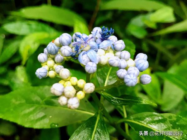 人生很短，天涯很遠，2022如若疫情淡去，唯旅行美食不可負也？