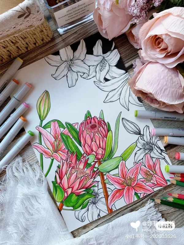 頂級創意線描,張張精緻走心,不收藏太可惜了 頂級創意線描,張張精緻走心,不收藏太可惜了