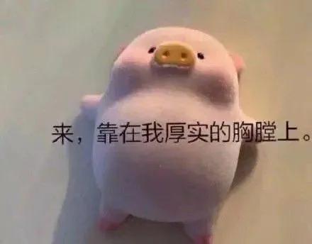 表情包：小狗狗也會生氣的