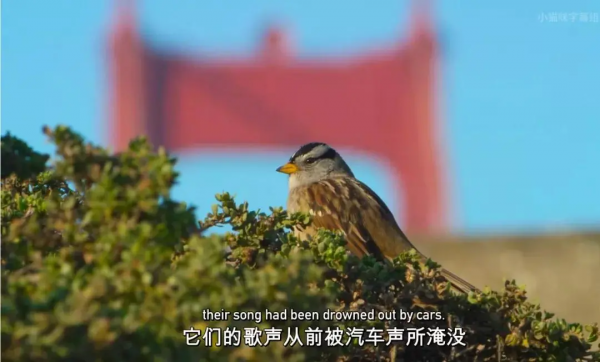 16部超讚自然紀錄片，讓孩子足不出戶看到地球的“真實面目”！