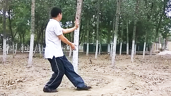 論拳術之道，八卦掌之秘