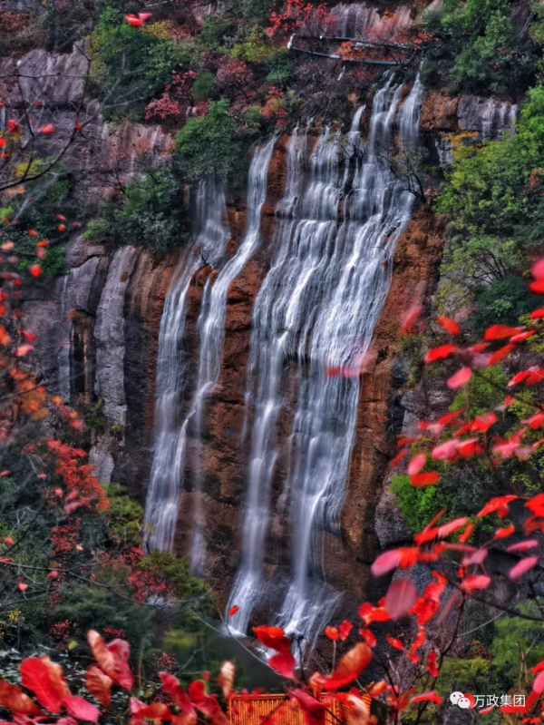 太極峽紅葉:漫山紅遍、層林盡染,錯過就是一年 太極峽紅葉:漫山紅遍、層林盡染,錯過就是一年