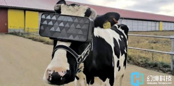 動物解剖虛擬模擬系統：萬物皆可元宇宙，動物都戴上VR眼鏡了