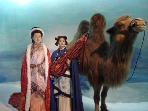 漢匈之間的“羈縻外交”：和親這一外交手段，真的達到目的了嗎？