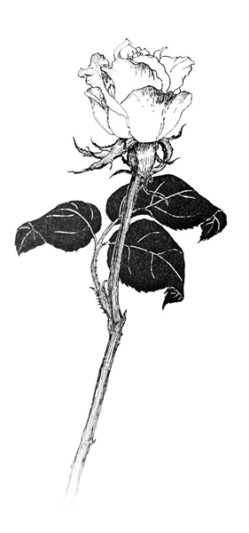 要做世上的“光”更要做世上的“鹽”