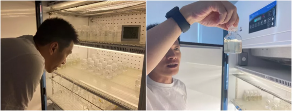 史大林:“養海帶的”科學家如何研究海洋酸化?| 探索者 史大林:“養海帶的”科學家如何研究海洋酸化?| 探索者