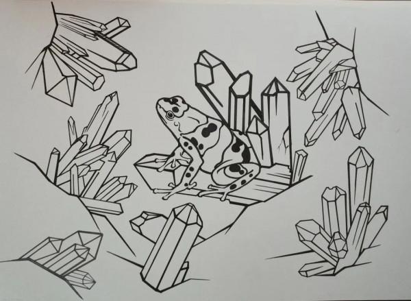 如何給古生物畫上正確的顏色 如何給古生物畫上正確的顏色