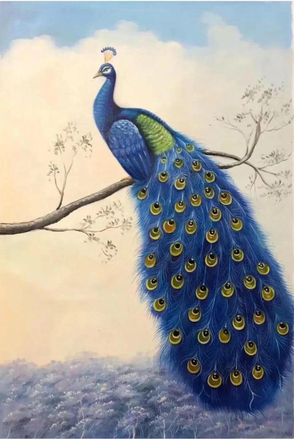 大師價格的手繪油畫孔雀,簡直不敢相信這是畫的,簡直跟照片似的 大師價格的手繪油畫孔雀,簡直不敢相信這是畫的,簡直跟照片似的