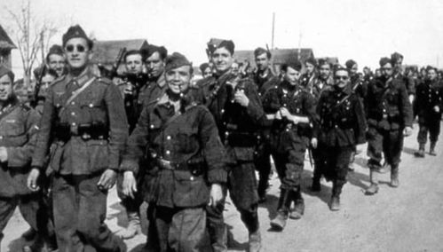 第三帝國內部的軍事改革&mdash;&mdash;德軍的&OpenCurlyDoubleQuote;1943年型&rdquo;的步兵師編制分析