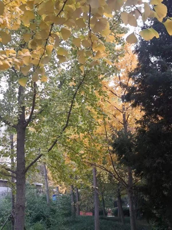 兩 岸 (詩歌外九首)北京 張新貴 兩 岸 (詩歌外九首)北京 張新貴