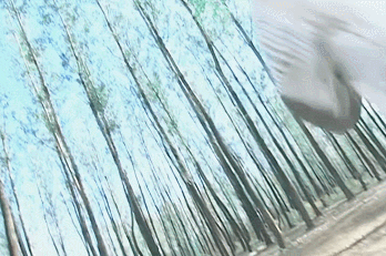 恕我直言:現在的人,跟沒見過帥哥一樣 恕我直言:現在的人,跟沒見過帥哥一樣