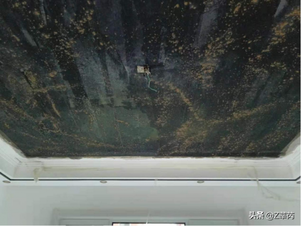 混凝土頂板嚴重蜂窩麻面怎麼辦？碳纖維加固措施分享給大家