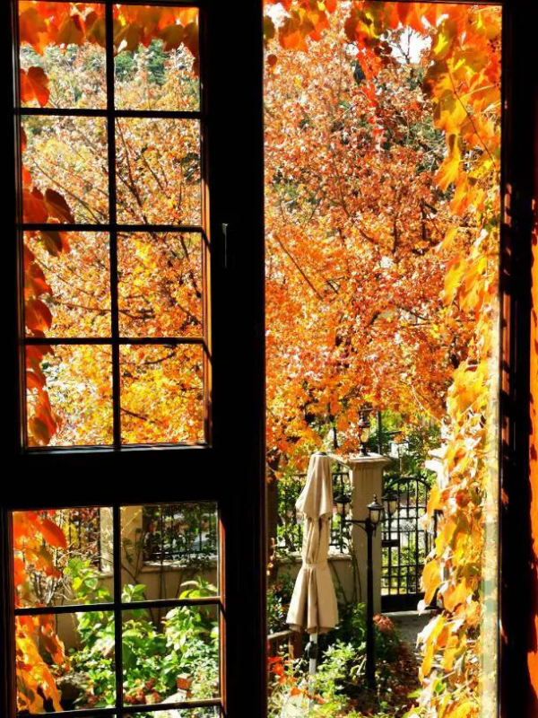 東北花友走遍歐洲著名花園,回國後建了座四季有花的北方花園 東北花友走遍歐洲著名花園,回國後建了座四季有花的北方花園