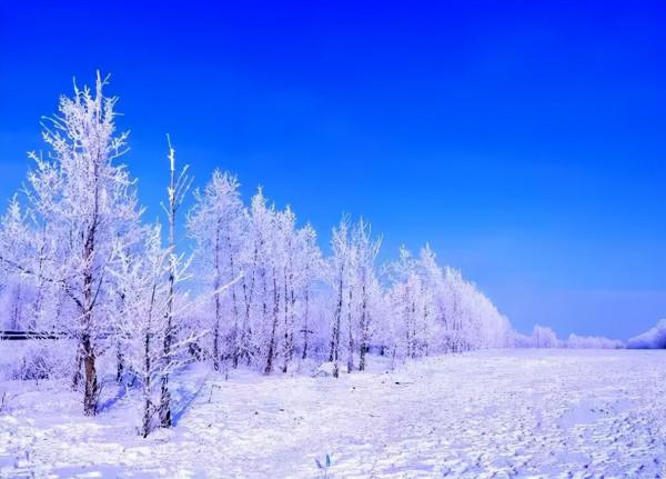 新疆霧凇,這才是完美冬天的開啟方式,真正的冰雪王國... 新疆霧凇,這才是完美冬天的開啟方式,真正的冰雪王國...