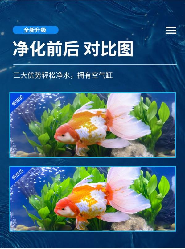 養魚水質不馬虎，華堃淨水黑科技讓你養魚安全更高效