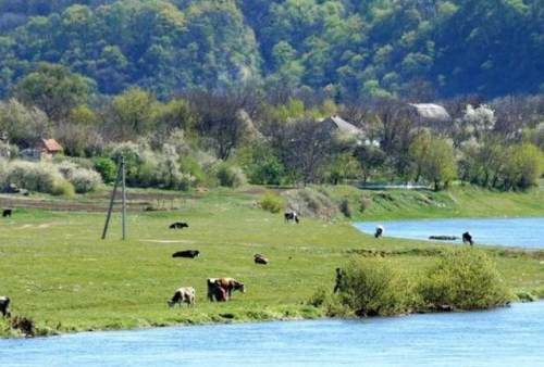 12歲少年被賣國外，娶白人美女，今後代800多人，形成“中國村”