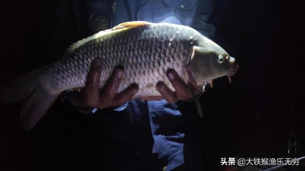 秋季遇到這幾種天氣，請假也要去釣魚，黑坑野釣都能連竿上魚