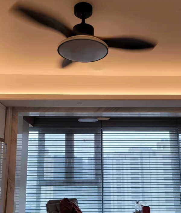 媳婦堅持裝吊扇燈,花2600元買了4個,還說:家要的就是舒適 媳婦堅持裝吊扇燈,花2600元買了4個,還說:家要的就是舒適