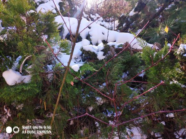 翠華山滑雪體驗，給要去的一些建議
