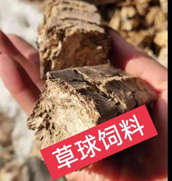 五萬元投資這些農村專案，同樣也能發家致富