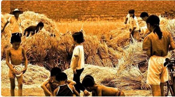 那年，媽媽每天步行60多里彎上百次腰，撿鴨毛鵝毛供我讀書的故事