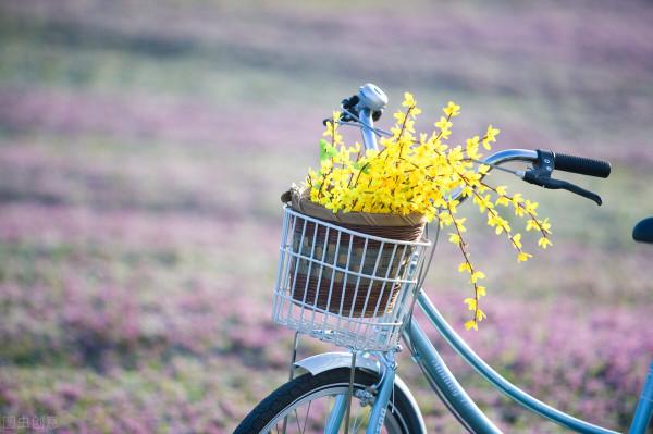 清水河裡那朵蓮（八十九）