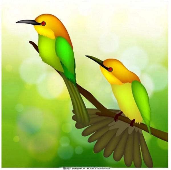 60多張雙比翼鳥圖欣賞