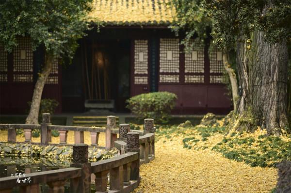 假期準備去成都玩，這次準備玩遍這10個地方，成都之旅就圓滿了