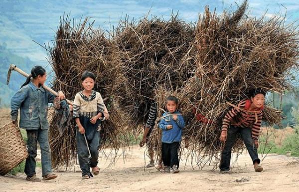 溫鐵軍：農村現在很多年輕人外出打工，未來田地誰來種？