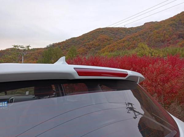 帶著我的大白,享受不同的風景 帶著我的大白,享受不同的風景