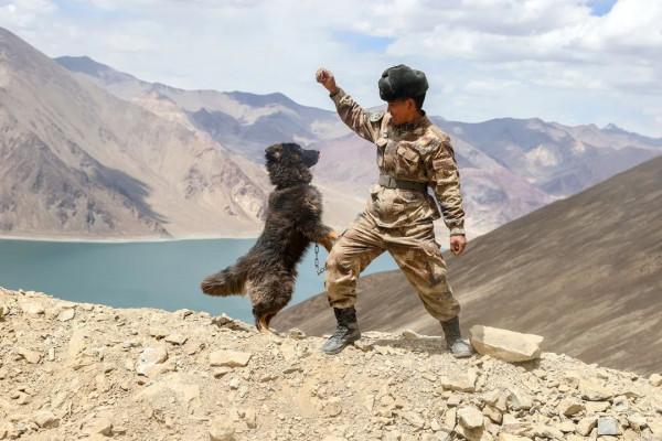 在“陽光哨位”眺望陽光