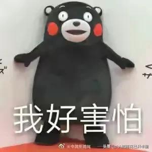 女未婚85年37歲被叫阿姨,網友:我94年女生未婚,已經慌的不行 女未婚85年37歲被叫阿姨,網友:我94年女生未婚,已經慌的不行