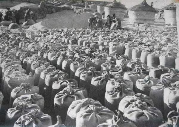 吃著中國的大米,越軍卻喪心病狂到連小女孩都不放過,白眼狼行為 吃著中國的大米,越軍卻喪心病狂到連小女孩都不放過,白眼狼行為