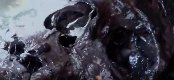 琅琊漢墓出土金龍玉席,頭髮骸骨都完好無缺,墓中積水清澈無比 琅琊漢墓出土金龍玉席,頭髮骸骨都完好無缺,墓中積水清澈無比