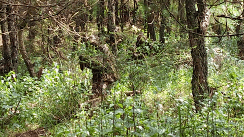 一場硬核演練在高原上演