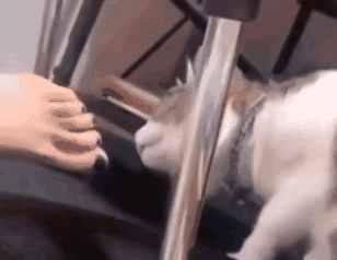 神回覆: 為什麼考古者最害怕發現雞蛋,盜墓者則最害怕粽子? 神回覆: 為什麼考古者最害怕發現雞蛋,盜墓者則最害怕粽子?