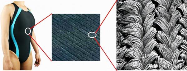 基於仿生表面的邊界層減阻研究假設及最新應用 基於仿生表面的邊界層減阻研究假設及最新應用